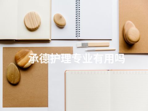 承德护理专业有用吗(图1) 承德护理专业有用吗(图1)