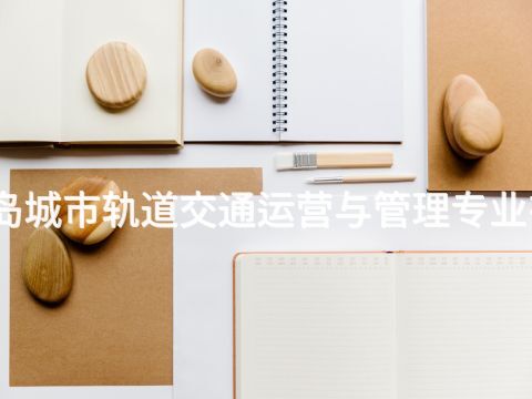 秦皇岛城市轨道交通运营与管理专业有用吗(图1)