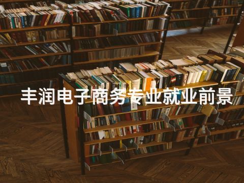 丰润电子商务专业就业前景(图1)