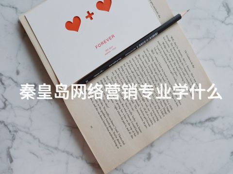 秦皇岛网络营销专业学什么(图1)