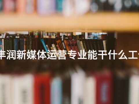 丰润新媒体运营专业能干什么工作(图1) 丰润新媒体运营专业能干什么工作(图1)