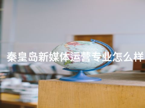 秦皇岛新媒体运营专业怎么样(图1)