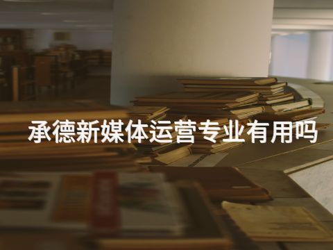 承德新媒体运营专业有用吗(图1)