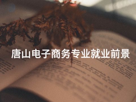 唐山电子商务专业就业前景(图1)