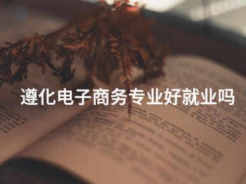 遵化电子商务专业好就业吗(图1)