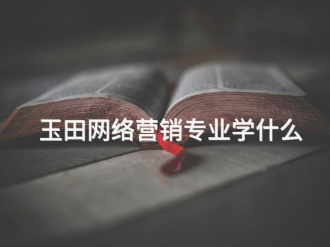 玉田网络营销专业学什么(图1)