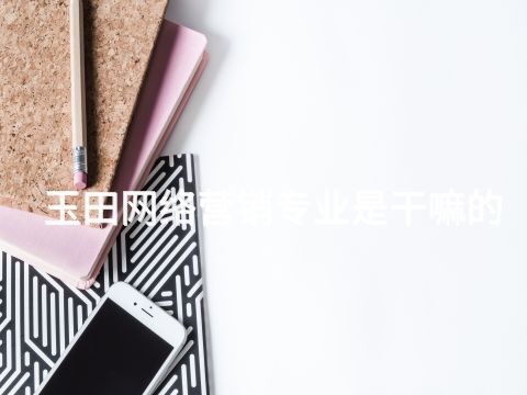 玉田网络营销专业是干嘛的(图1)