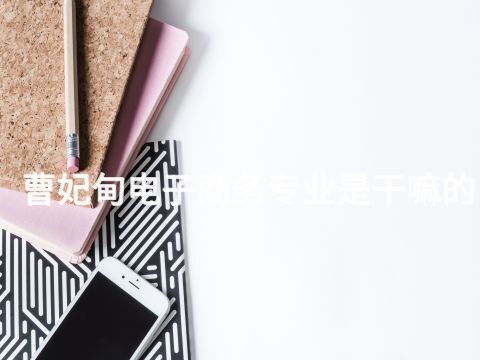 曹妃甸电子商务专业是干嘛的(图1)