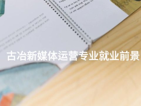 古冶新媒体运营专业就业前景(图1) 古冶新媒体运营专业就业前景(图1)