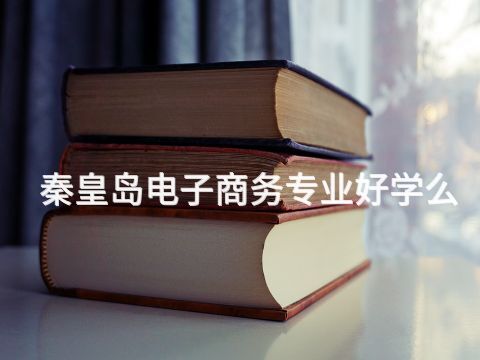 秦皇岛电子商务专业好学么(图1)