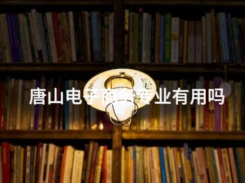 唐山电子商务专业有用吗(图1)