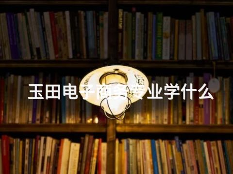 玉田电子商务专业学什么(图1)
