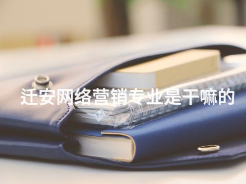 迁安网络营销专业是干嘛的(图1)