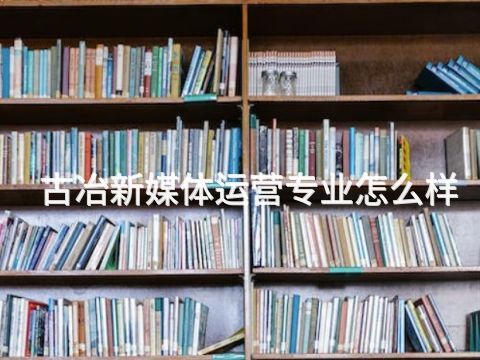 古冶新媒体运营专业怎么样(图1) 古冶新媒体运营专业怎么样(图1)