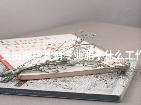 玉田网络营销专业能干什么工作(图1)