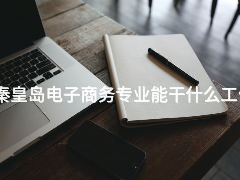 秦皇岛电子商务专业能干什么工作(图1)