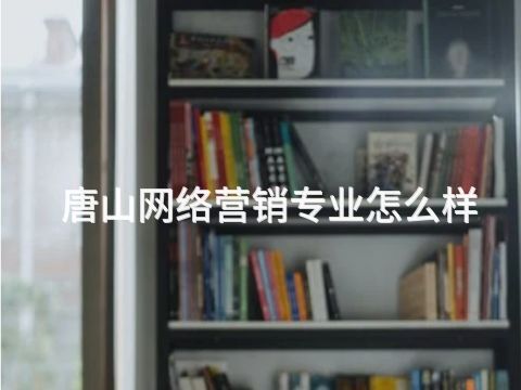 唐山网络营销专业怎么样(图1)