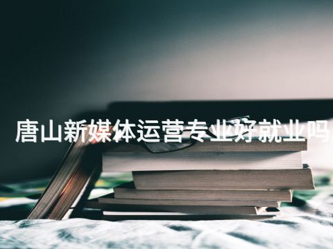 唐山新媒体运营专业好就业吗(图1)