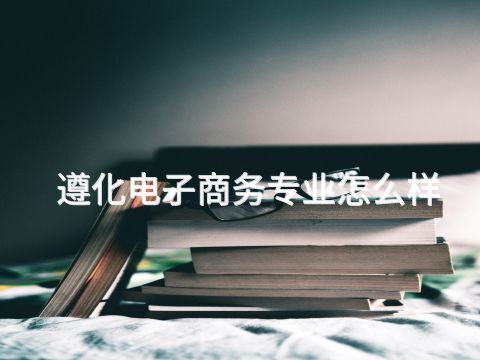 遵化电子商务专业怎么样(图1)