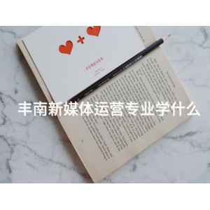 丰南新媒体运营专业学什么 丰南新媒体运营专业学什么