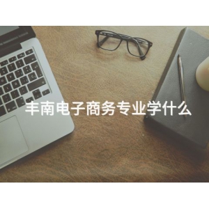 丰南电子商务专业学什么