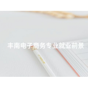 丰南电子商务专业就业前景 丰南电子商务专业就业前景
